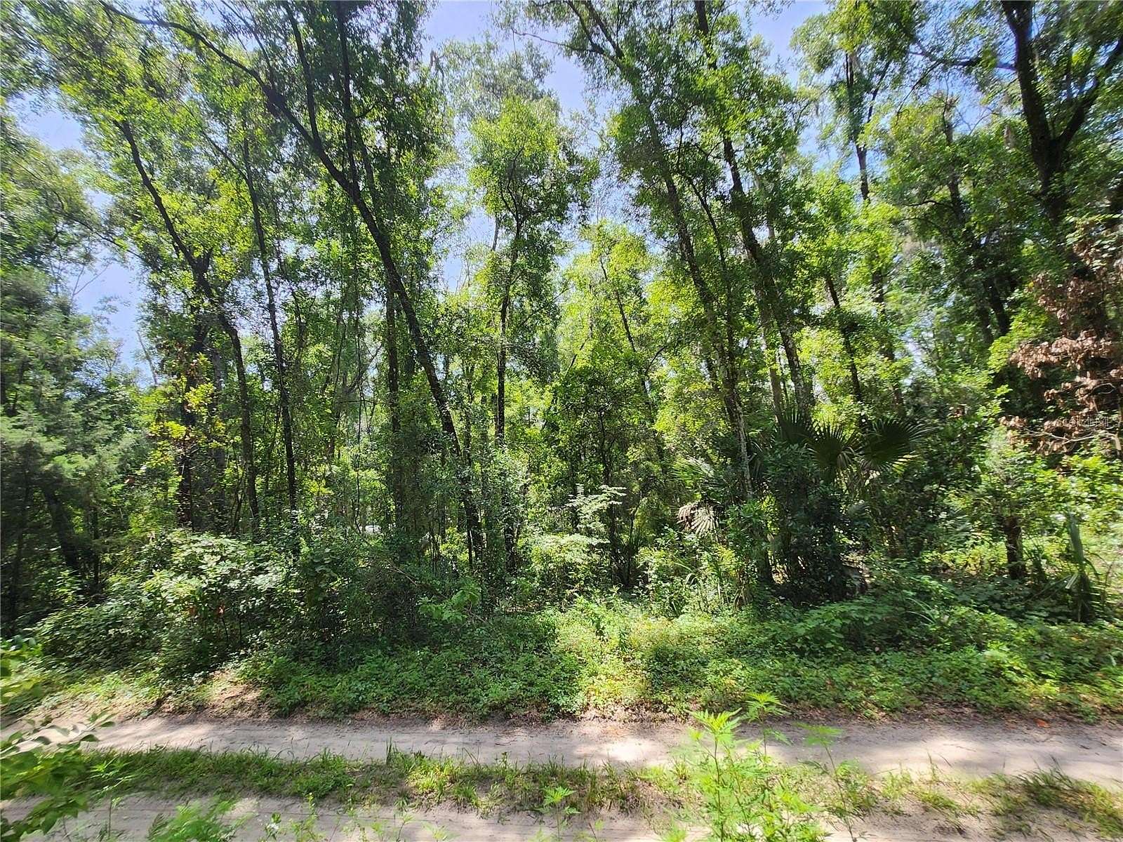 0.26 Acres of Residential Land for Sale in Citra, Florida