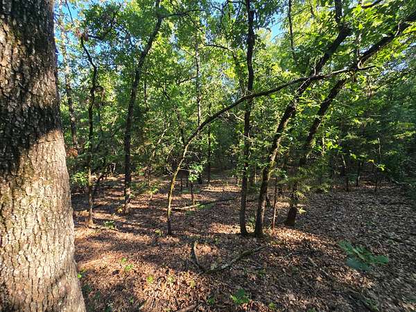 5 Acres of Land for Sale in Wilburton, Oklahoma