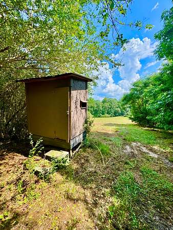 60 Acres of Land for Sale in Double Springs, Alabama