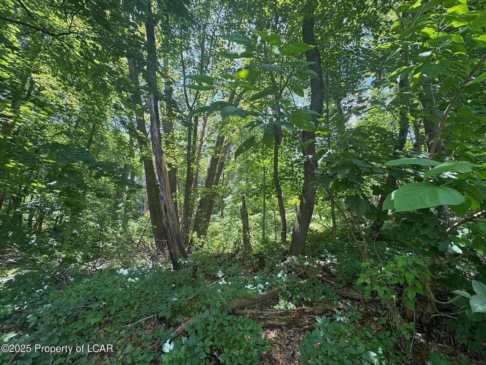 4 Acres of Mixed-Use Land for Sale in Scranton, Pennsylvania