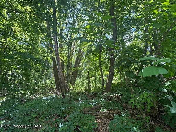 4 Acres of Mixed-Use Land for Sale in Scranton, Pennsylvania