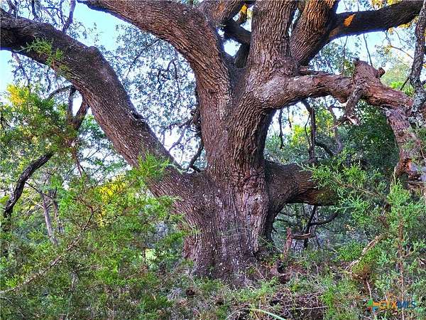 15 Acres of Recreational Land for Sale in Burnet, Texas