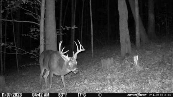 497 Acres of Land for Sale in Jeffersonville, Kentucky