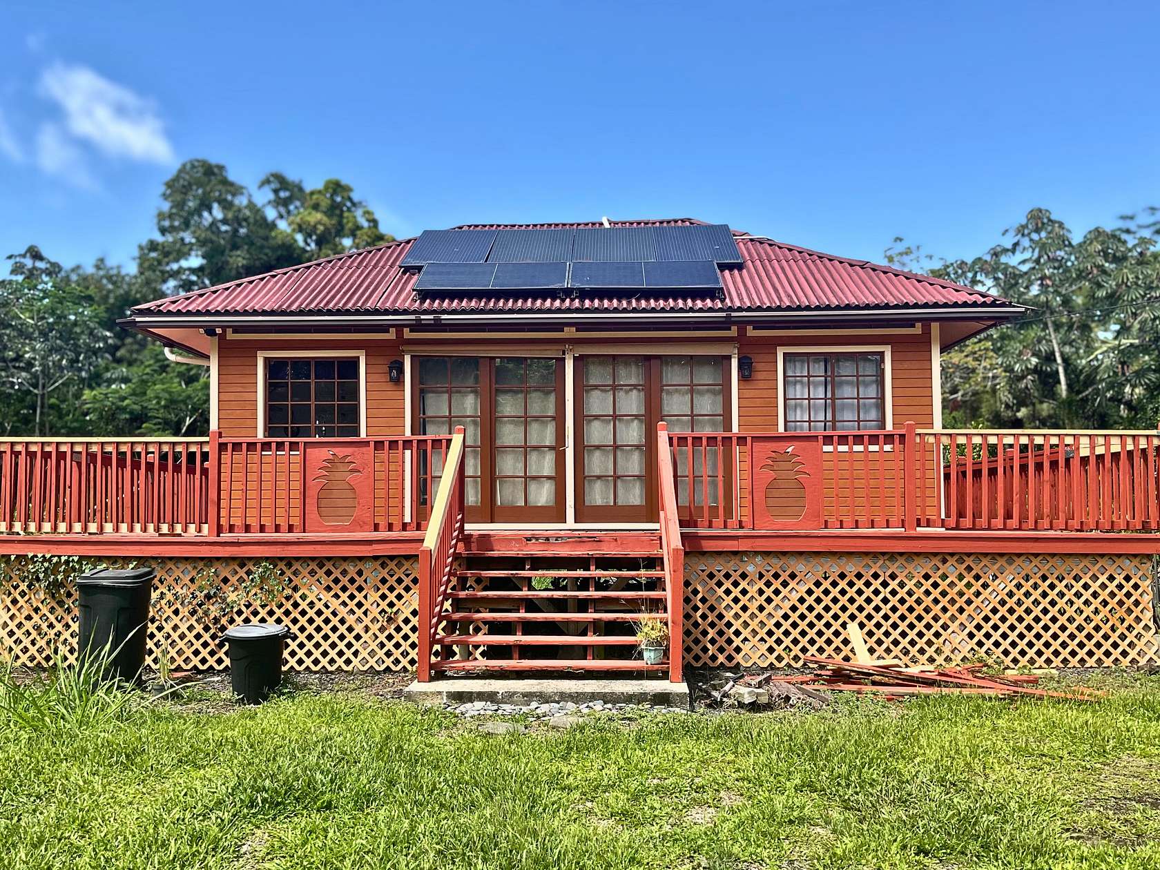 1 Acre of Improved Residential Land for Sale in Keaau, Hawaii