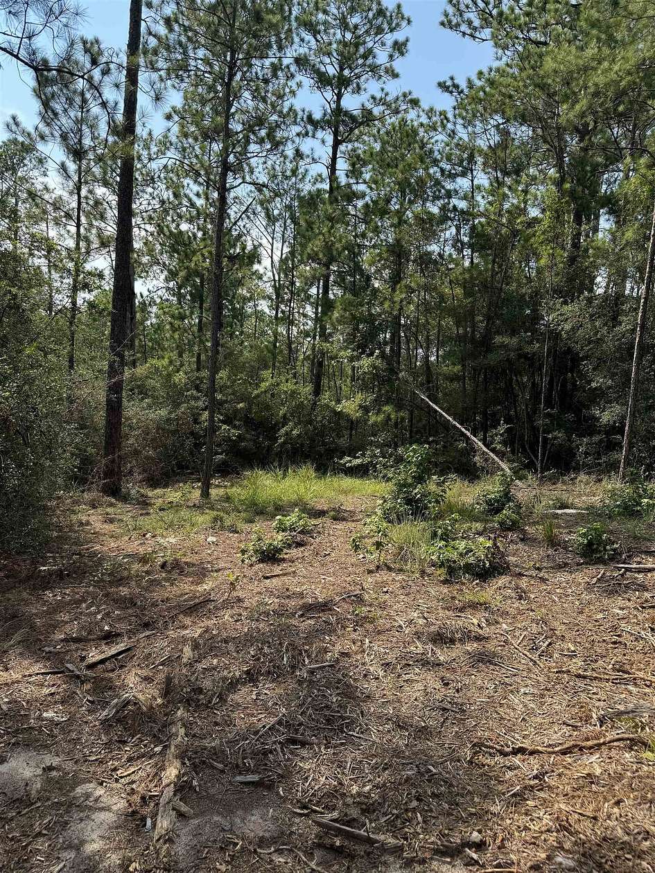 0.2 Acres of Residential Land for Sale in Brookeland, Texas