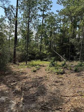 0.2 Acres of Residential Land for Sale in Brookeland, Texas