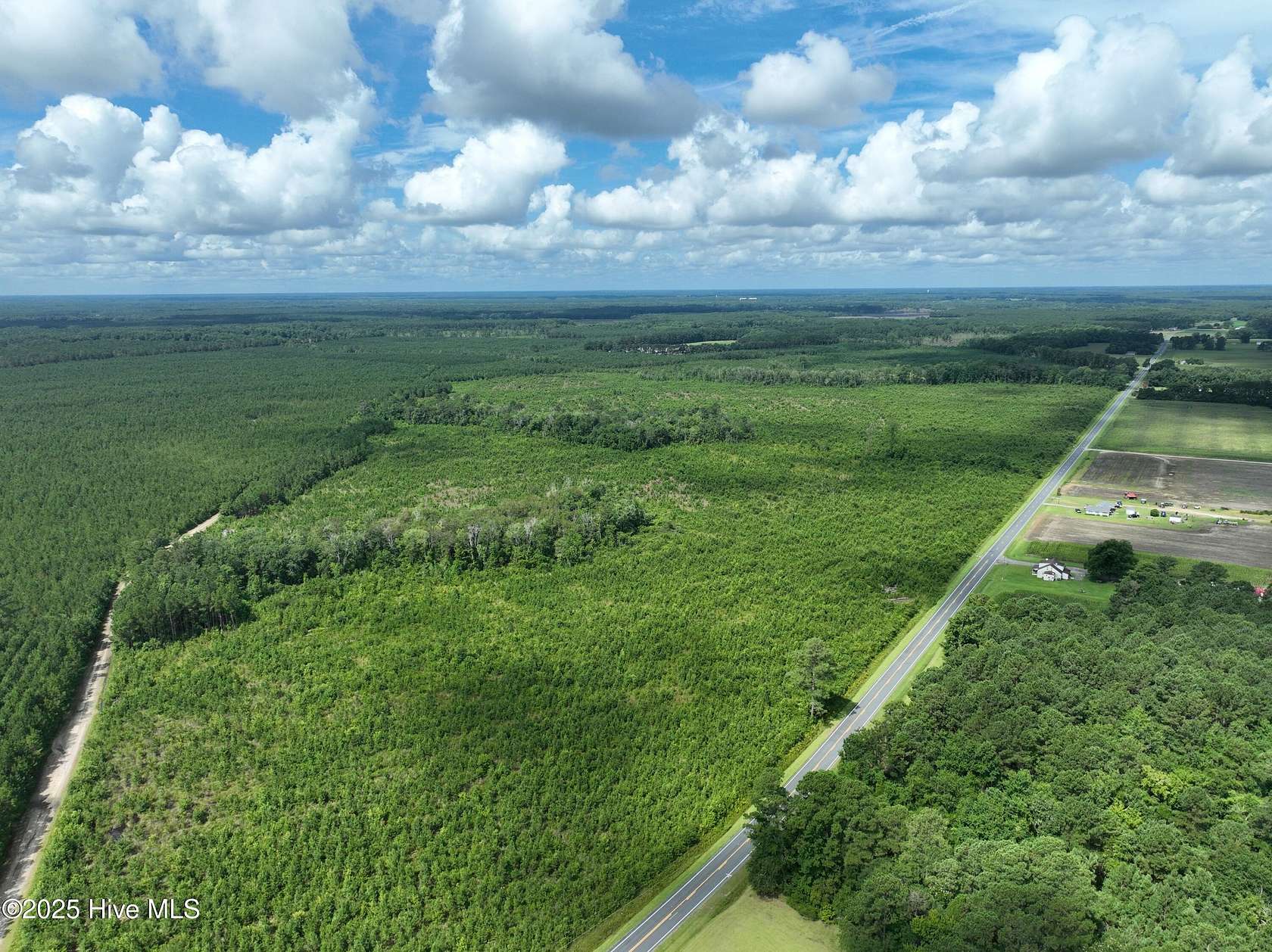 369 Acres of Recreational Land for Sale in Clarkton, North Carolina