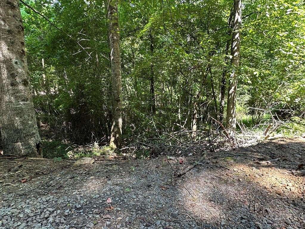 Residential Land for Sale in Murphy, North Carolina