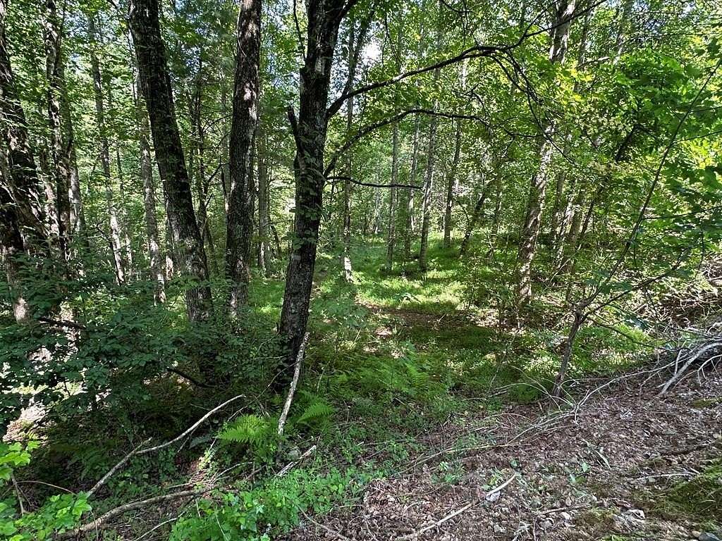 5.2 Acres of Residential Land for Sale in Murphy, North Carolina