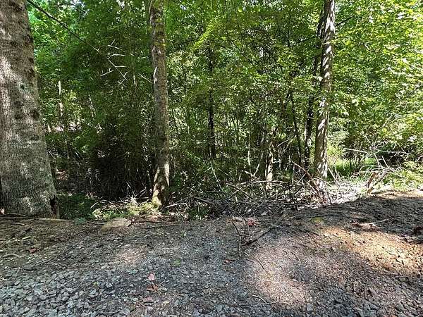Residential Land for Sale in Murphy, North Carolina