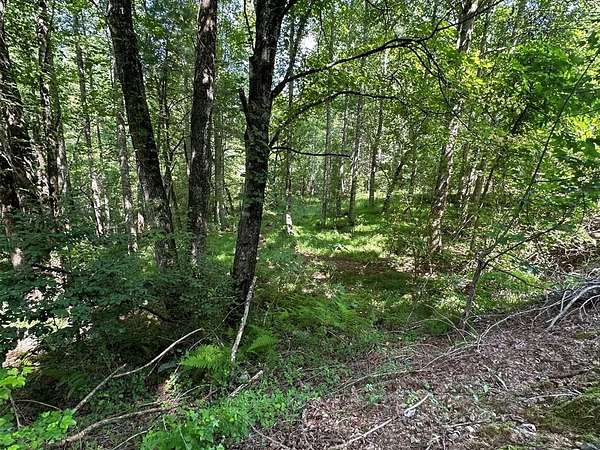 5.2 Acres of Residential Land for Sale in Murphy, North Carolina
