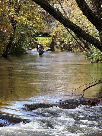 5.39 Acres of Land for Sale in Zirconia, North Carolina