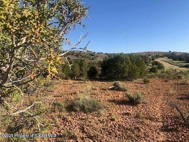 160 Acres of Land for Sale in Flora Vista, New Mexico