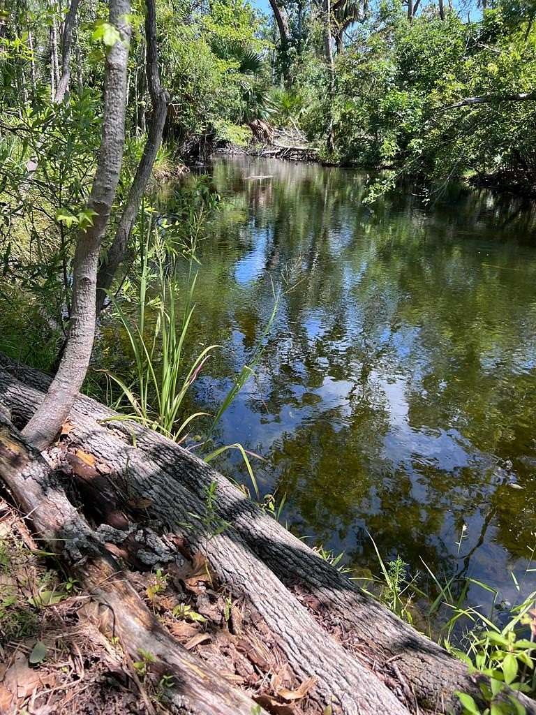 10.5 Acres of Recreational Land for Sale in Steinhatchee, Florida
