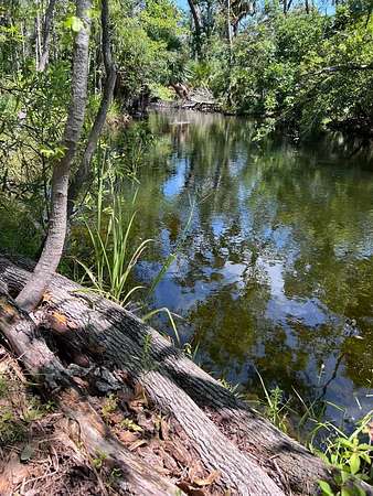 10.5 Acres of Recreational Land for Sale in Steinhatchee, Florida