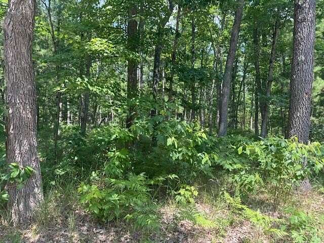 10.2 Acres of Recreational Land for Sale in Bitely, Michigan