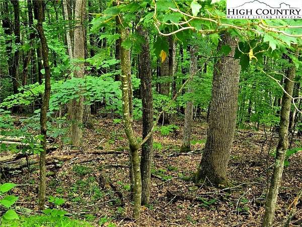 3 Acres of Residential Land for Sale in Boone, North Carolina