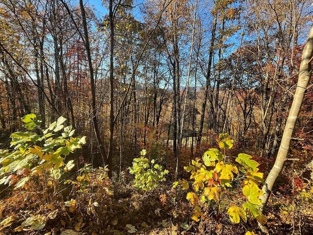 1.24 Acres of Land for Sale in Hayesville, North Carolina