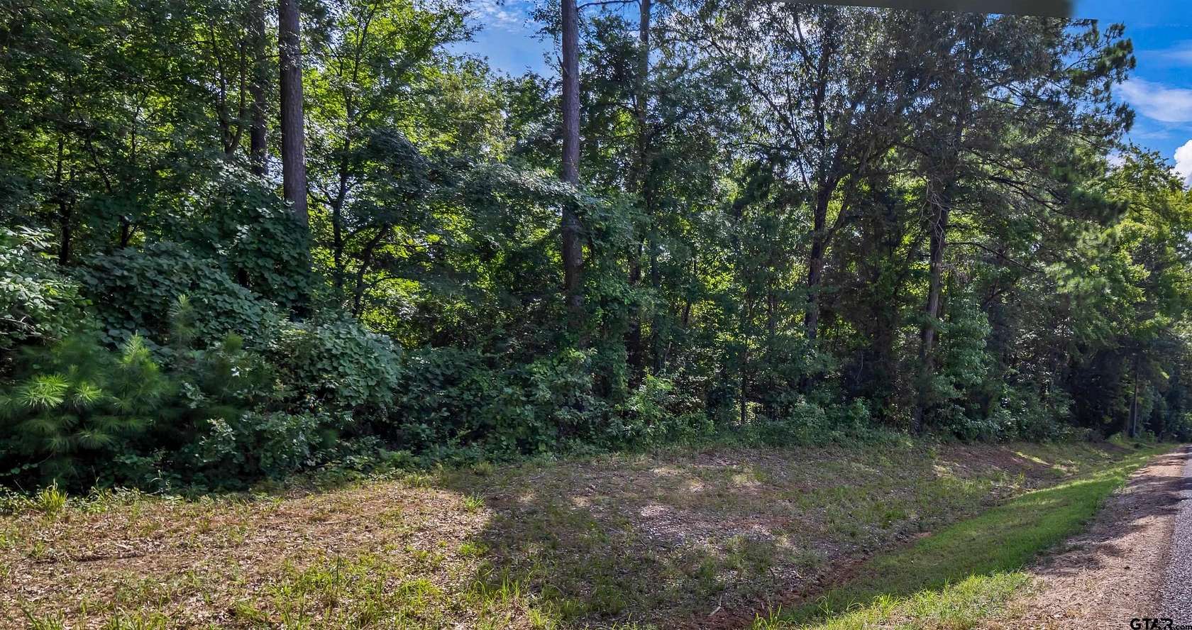 14 Acres of Recreational Land for Sale in Tyler, Texas