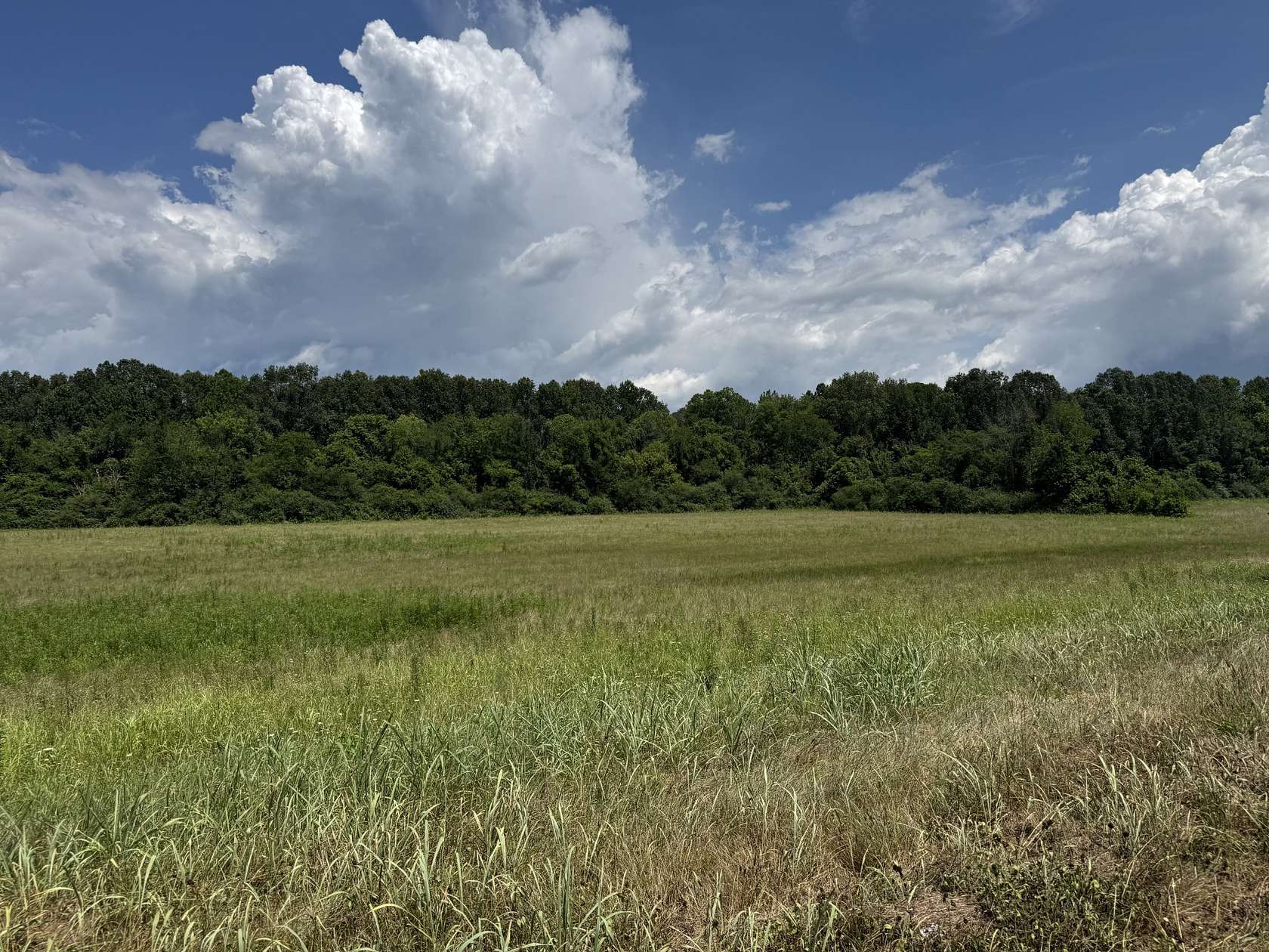 17 Acres of Land for Sale in Gainesboro, Tennessee