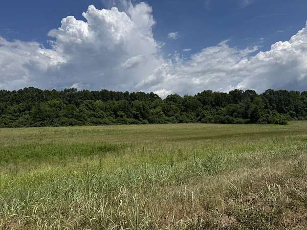 17 Acres of Land for Sale in Gainesboro, Tennessee