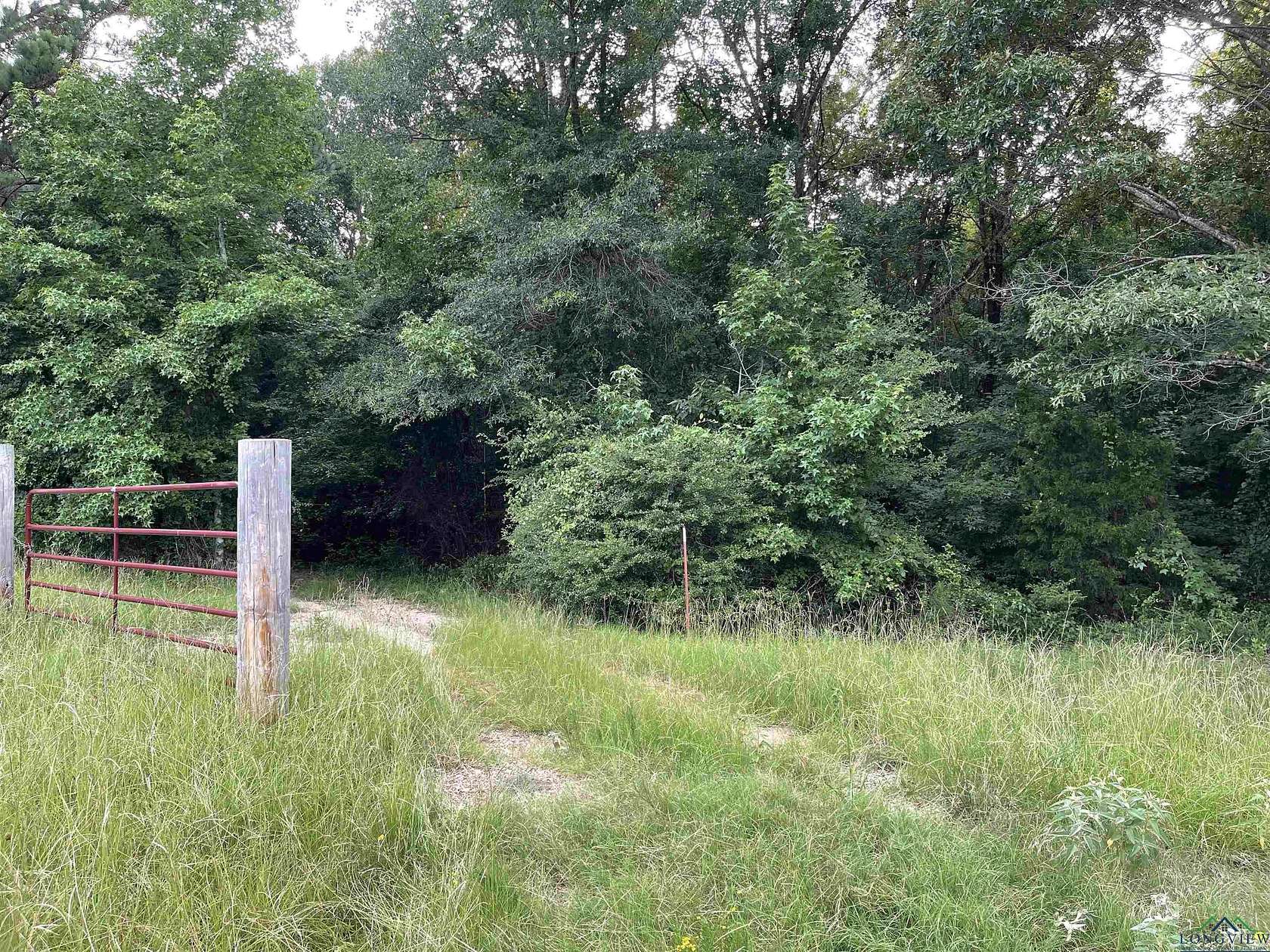 25.3 Acres of Recreational Land for Sale in Overton, Texas