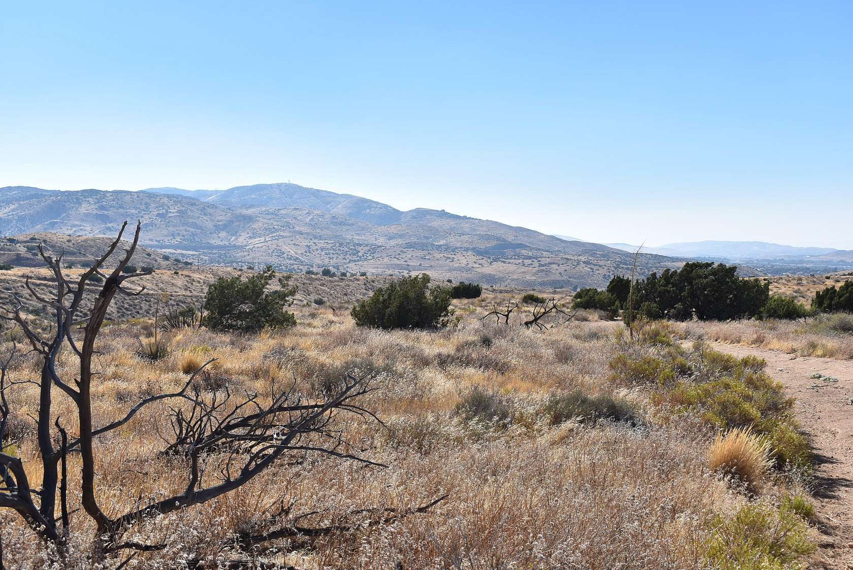 Land for Sale in Palmdale, California