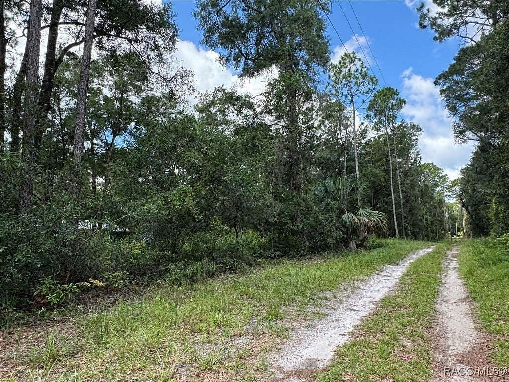 0.46 Acres of Residential Land for Sale in Chiefland, Florida