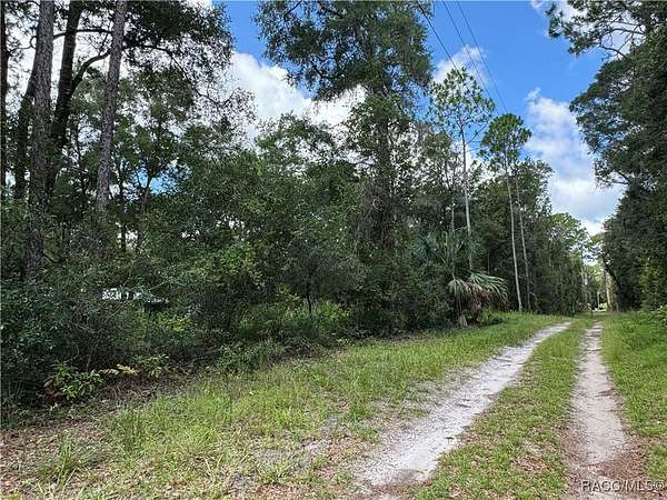 0.46 Acres of Residential Land for Sale in Chiefland, Florida