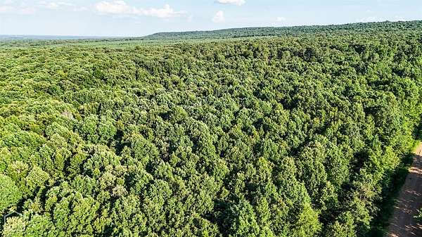 40 Acres of Agricultural Land for Sale in Bradford, Arkansas