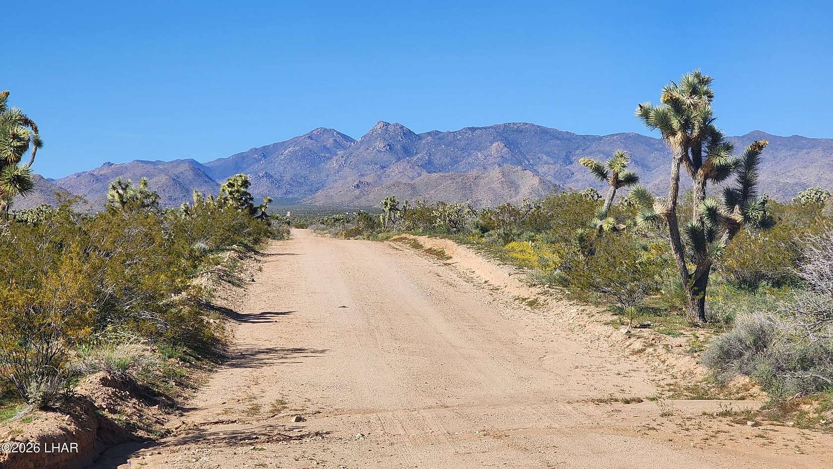 40 Acres of Land for Sale in Yucca, Arizona