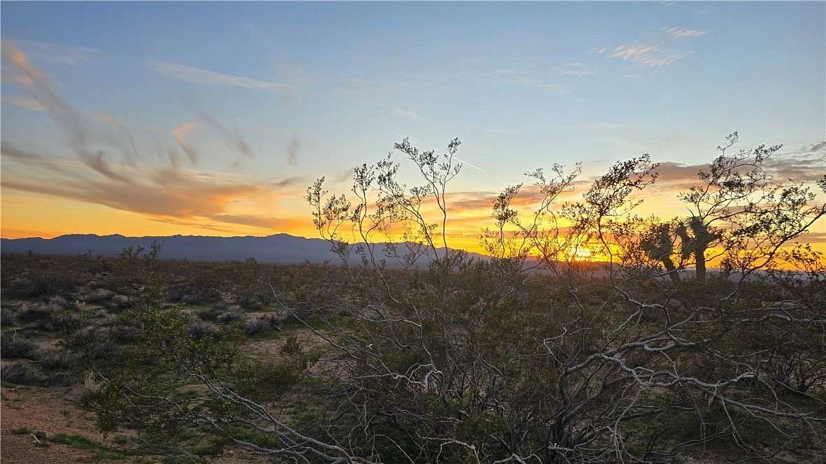 40 Acres of Agricultural & Residential Land for Sale in Yucca, Arizona