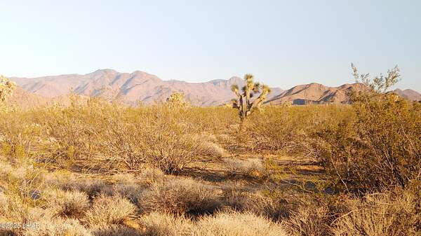 40 Acres of Land for Sale in Yucca, Arizona