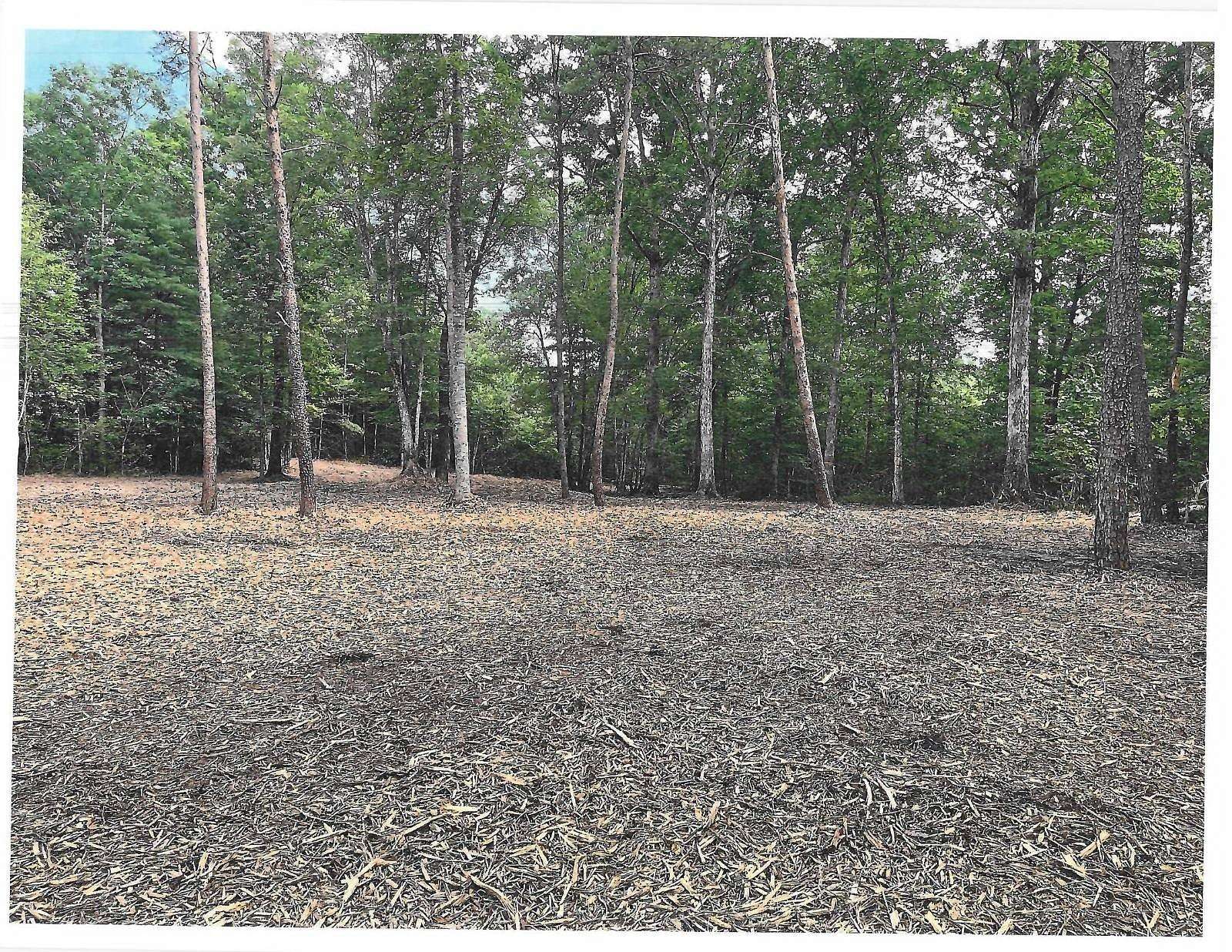 3.1 Acres of Land for Sale in Amherst, Virginia