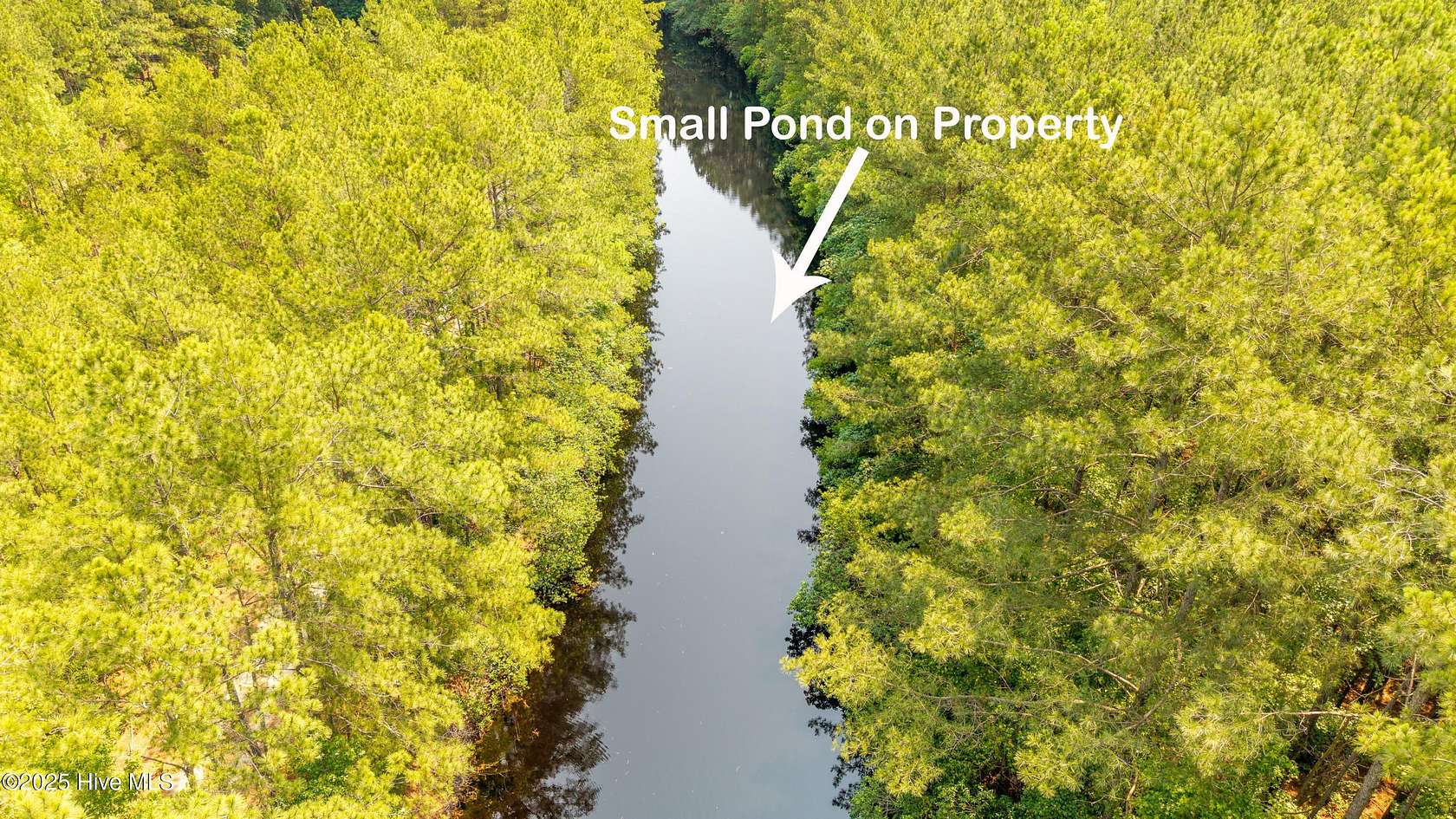 81.3 Acres of Recreational Land for Sale in Clinton, North Carolina