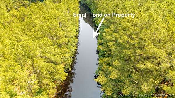 81 Acres of Recreational Land for Sale in Clinton, North Carolina