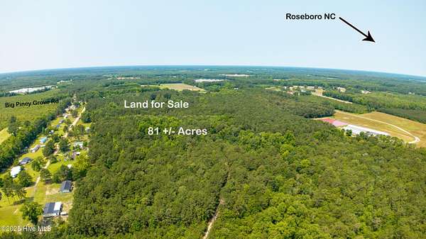 81.3 Acres of Recreational Land for Sale in Clinton, North Carolina