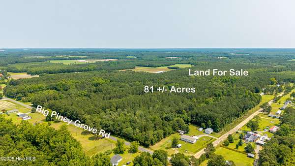 81.3 Acres of Recreational Land for Sale in Clinton, North Carolina