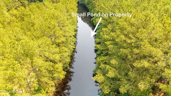 81.3 Acres of Recreational Land for Sale in Clinton, North Carolina