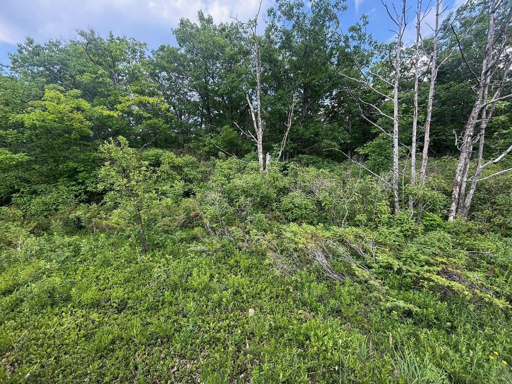 0.42 Acres of Land for Sale in Presque Isle, Michigan