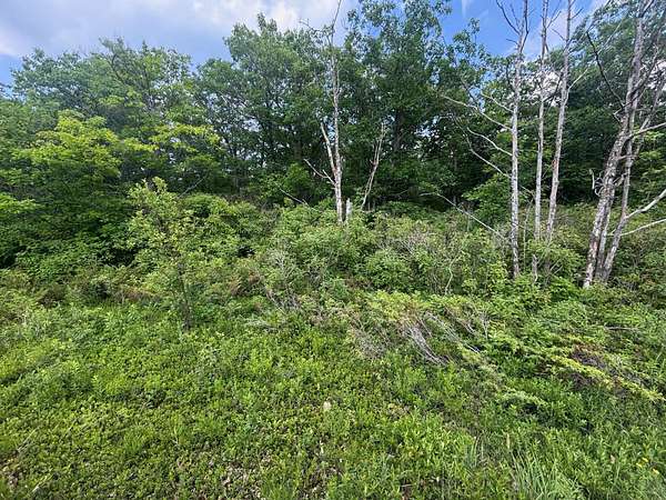 0.42 Acres of Land for Sale in Presque Isle, Michigan