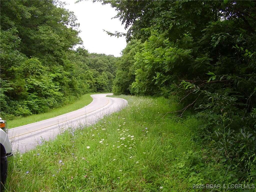 52 Acres of Land for Sale in Montreal, Missouri