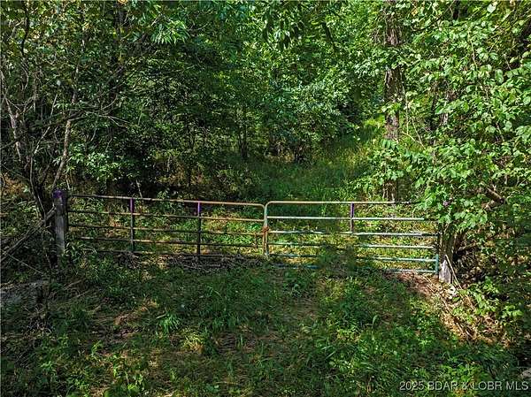 52 Acres of Recreational Land for Sale in Montreal, Missouri