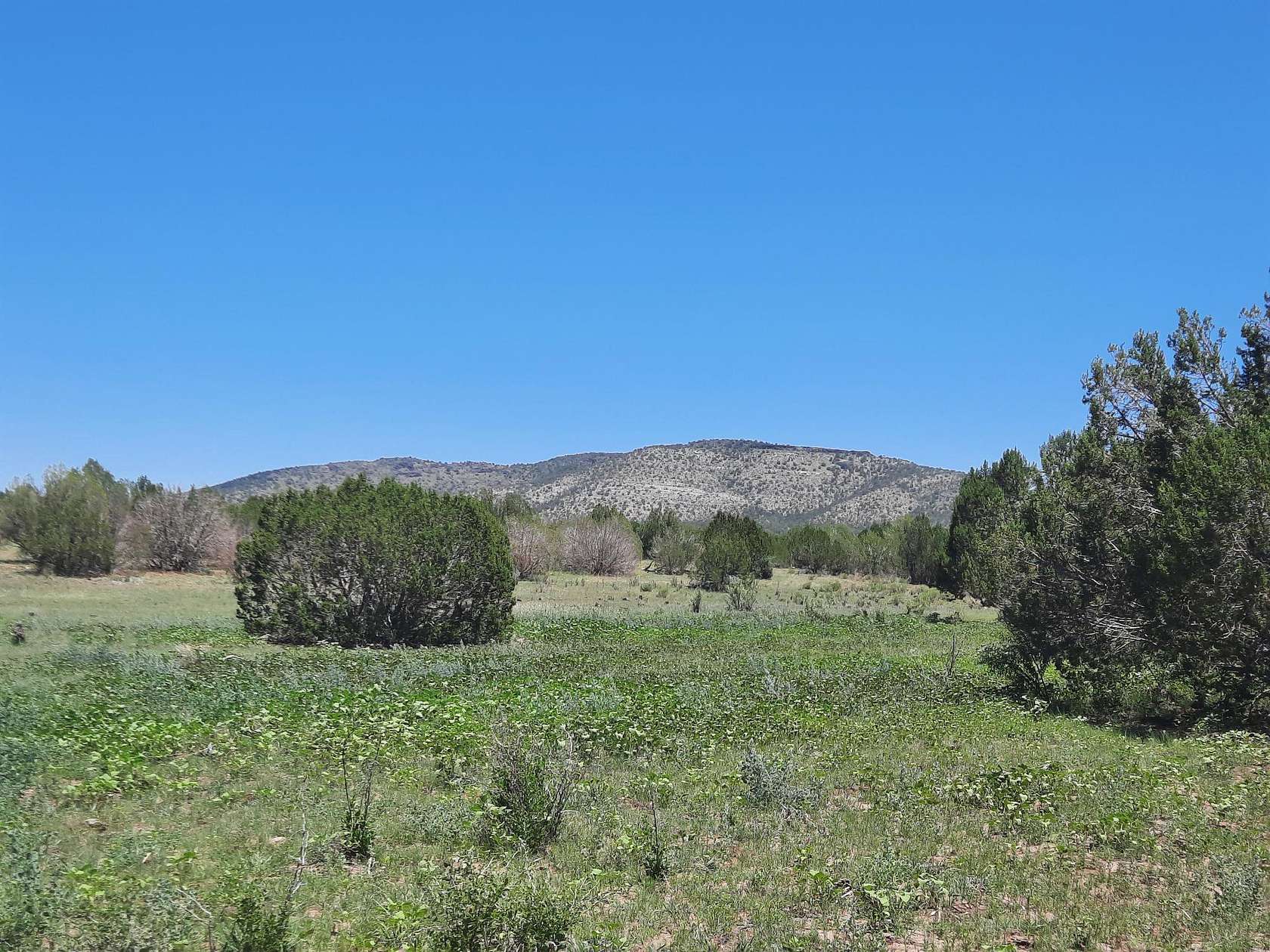37 Acres of Recreational Land & Farm for Sale in Seligman, Arizona