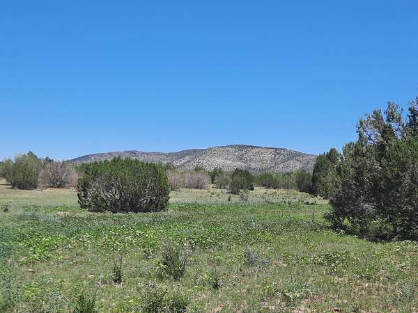 37 Acres of Recreational Land & Farm for Sale in Seligman, Arizona