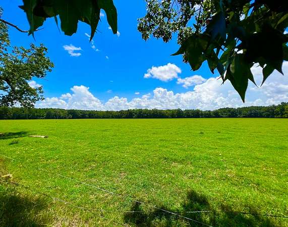 405 Acres of Land for Auction in New Brockton, Alabama