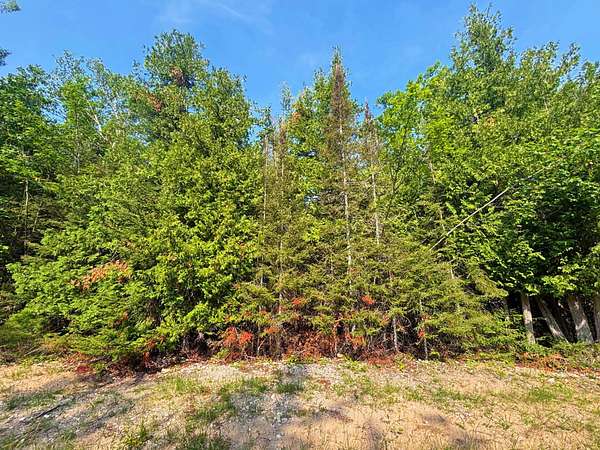 Land for Sale in Presque Isle, Michigan