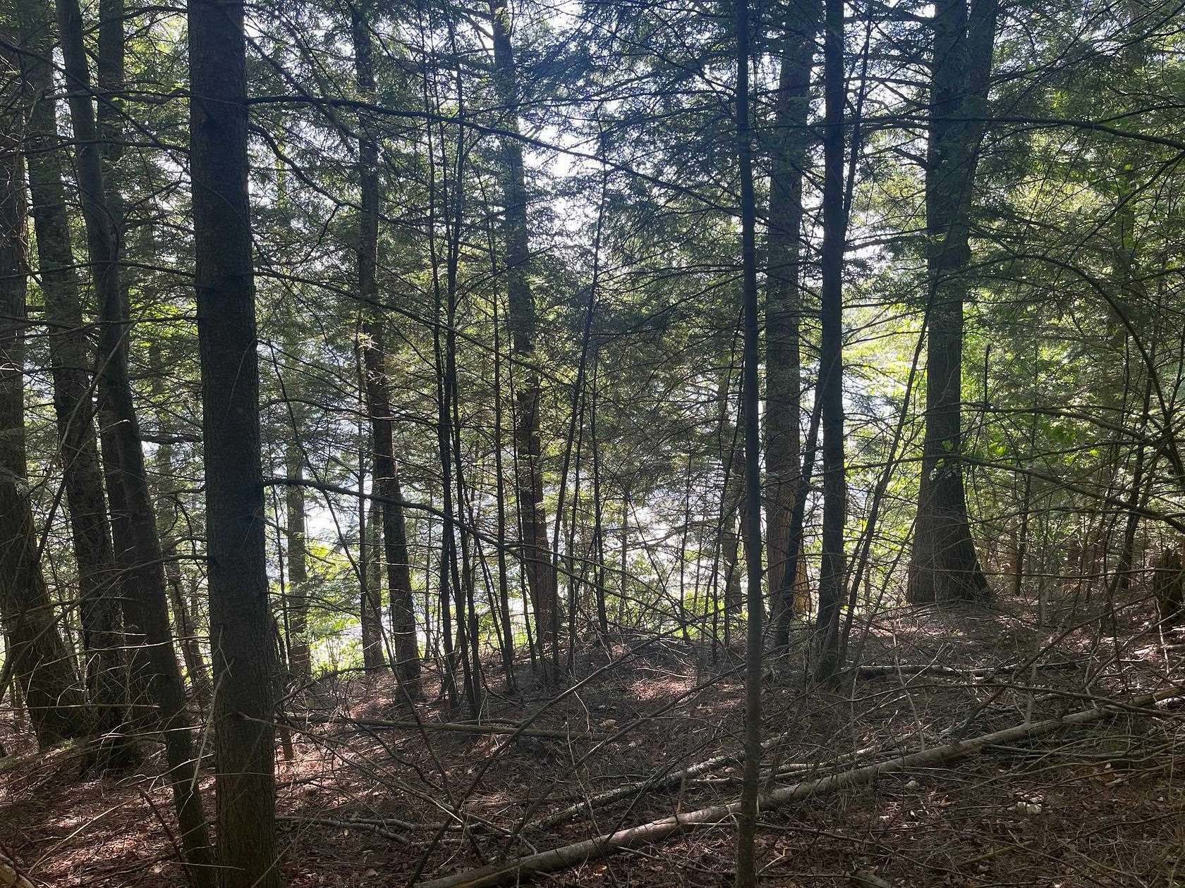 2 Acres of Residential Land for Sale in Townsend, Wisconsin