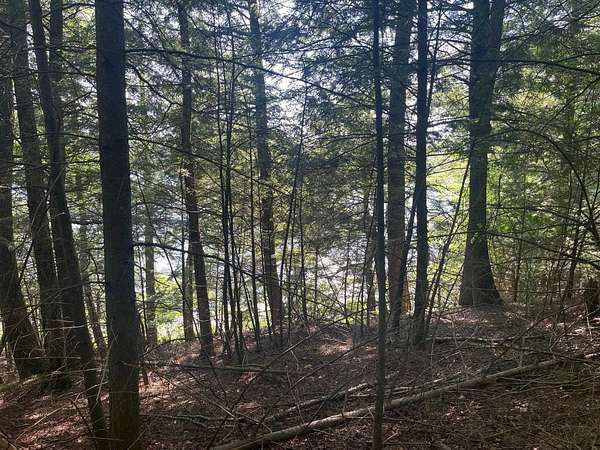 2 Acres of Residential Land for Sale in Townsend, Wisconsin