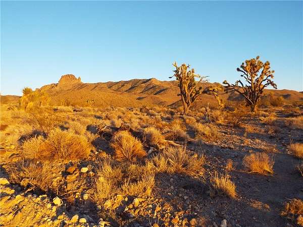 1.16 Acres of Residential Land for Sale in Dolan Springs, Arizona
